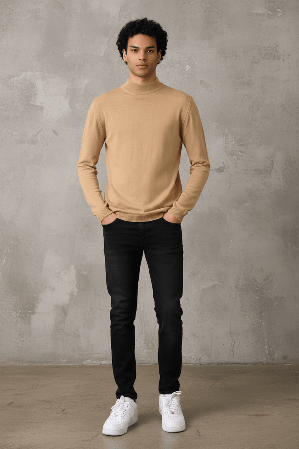 Pull Col Roulé Homme maron 534